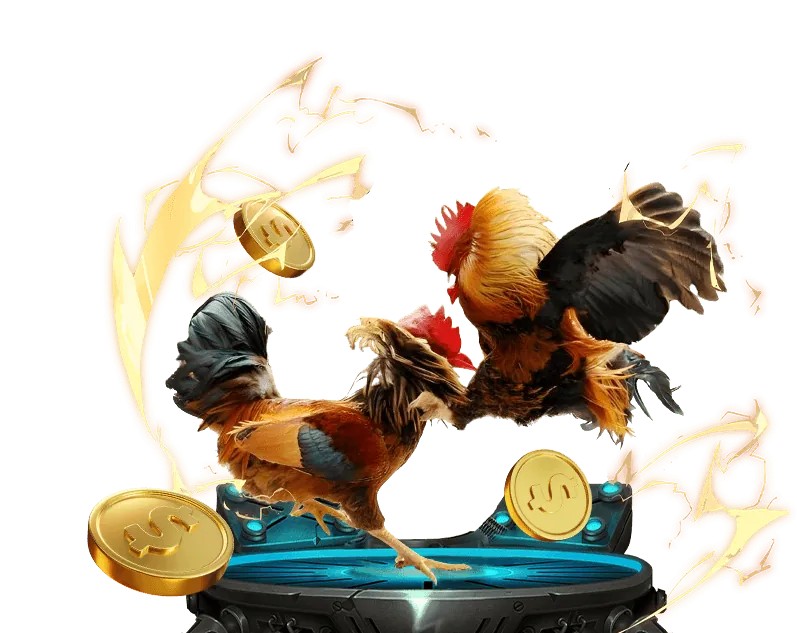 Đội ngũ chuyên nghiệp của nk 88